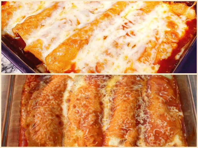 Easy Rotisserie Chicken Enchiladas Recipe