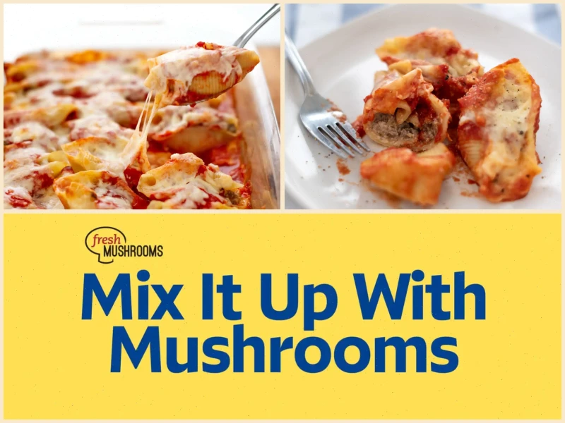 Beef and Mushroom Stuffed Shells Recipe