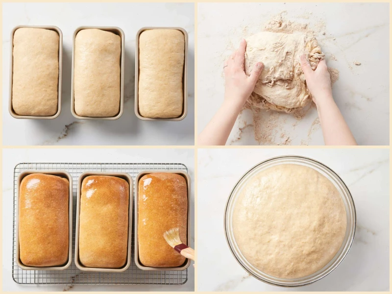 Simple Whole Wheat Bread Recipe