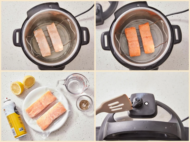 Instant Pot Frozen Salmon Recipe
