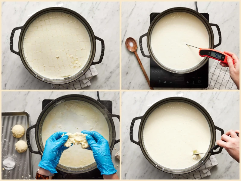 Homemade Mozzarella Cheese Recipe
