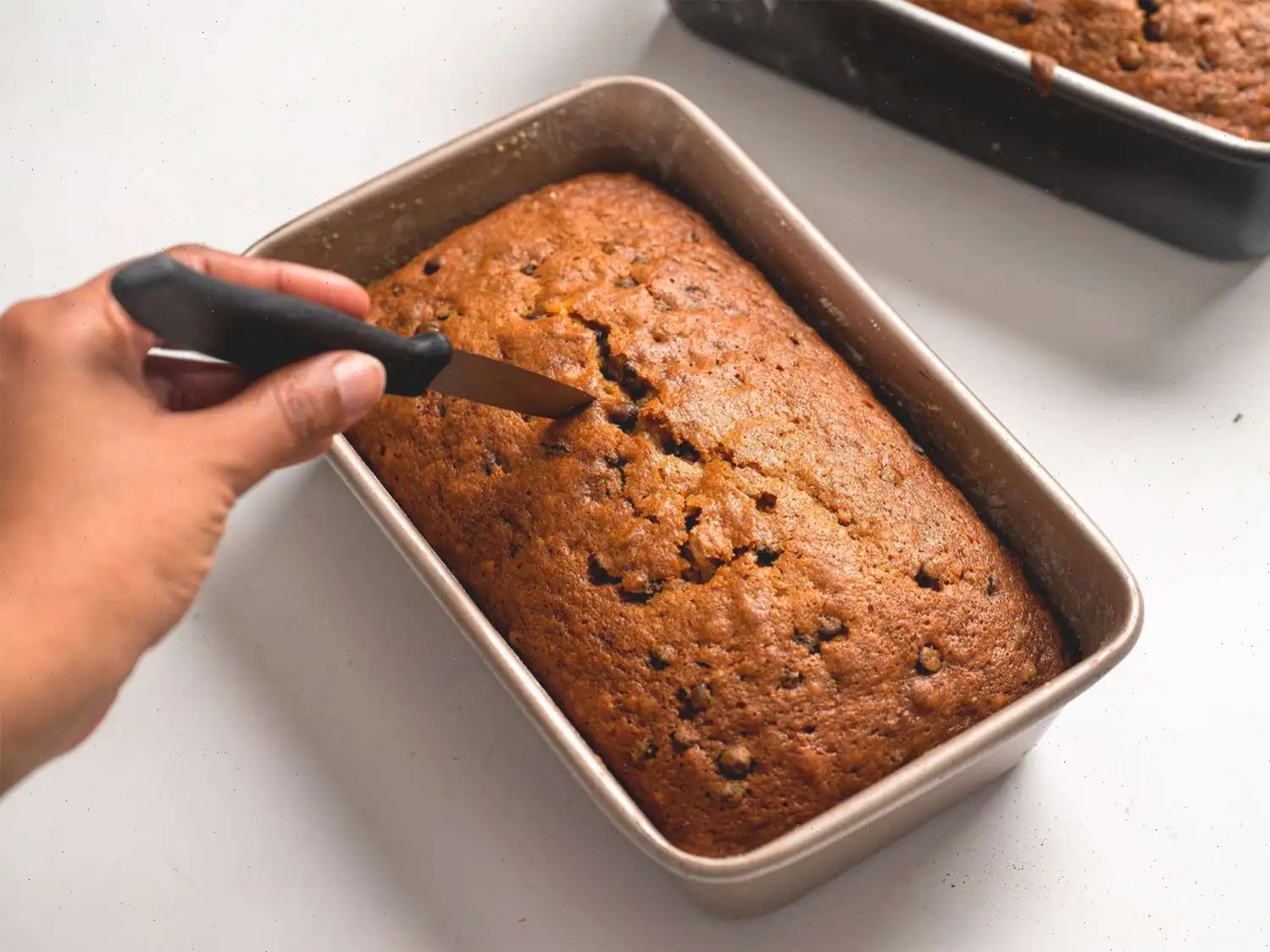Chocolate Chip Pumpkin Bread Recipe