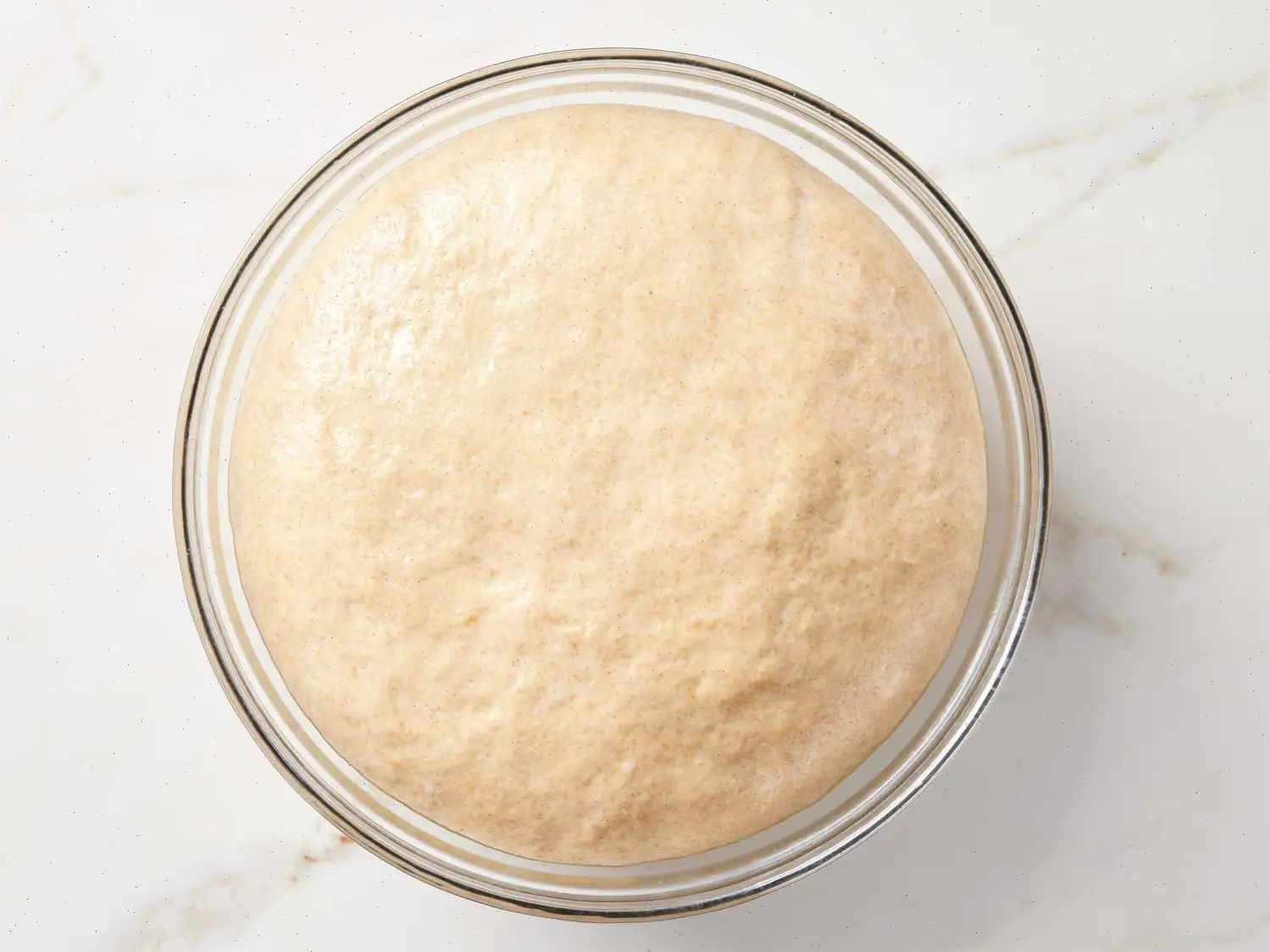 Simple Whole Wheat Bread Recipe