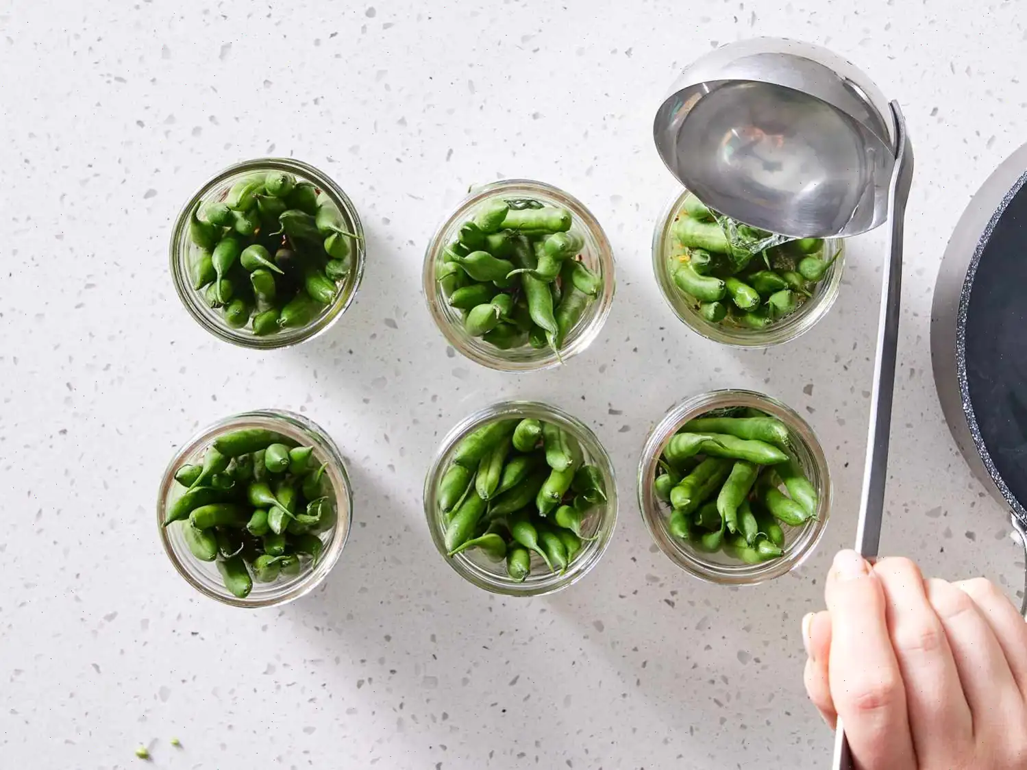 Crisp Pickled Green Beans Recipe