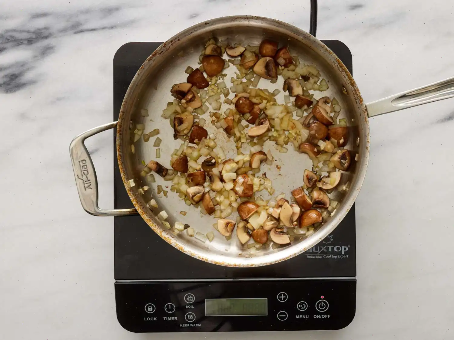 Spinach Lasagna Recipe