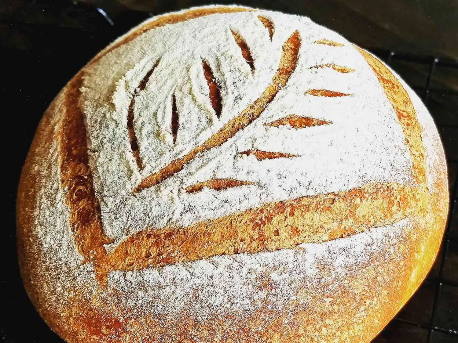 Chef John's No-Knead Pumpkin Bread