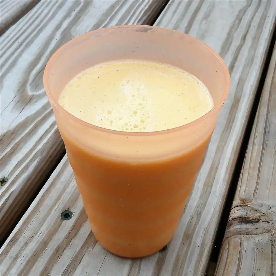 Homemade Orange Julius Recipe