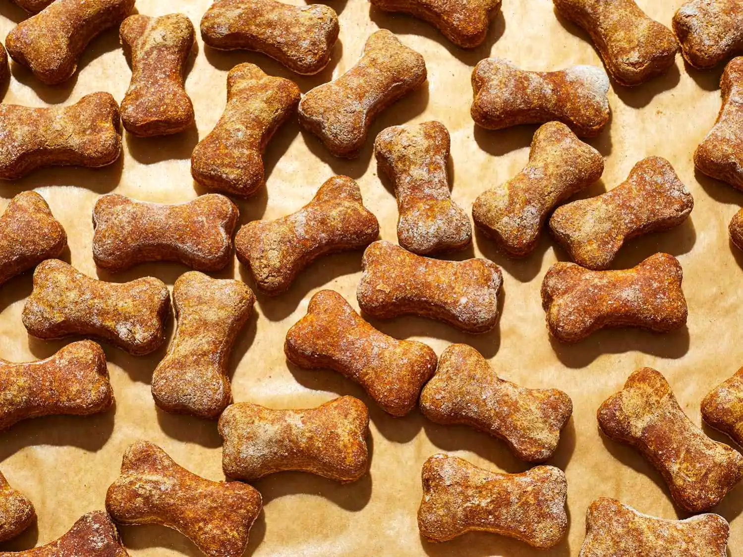 Homemade Dog Treats (Peanut Butter and Pumpkin)