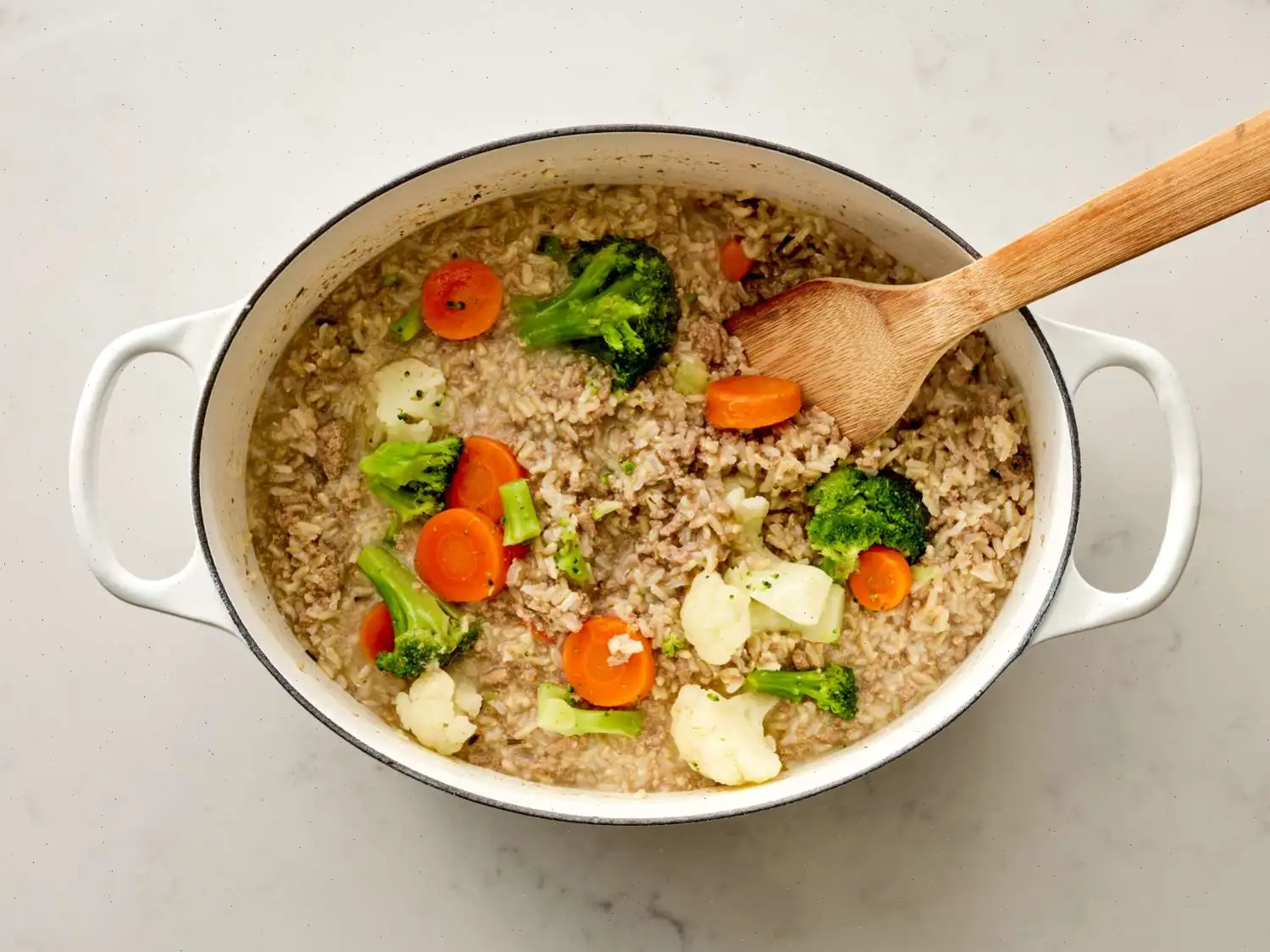 Homemade Dog Food Recipe