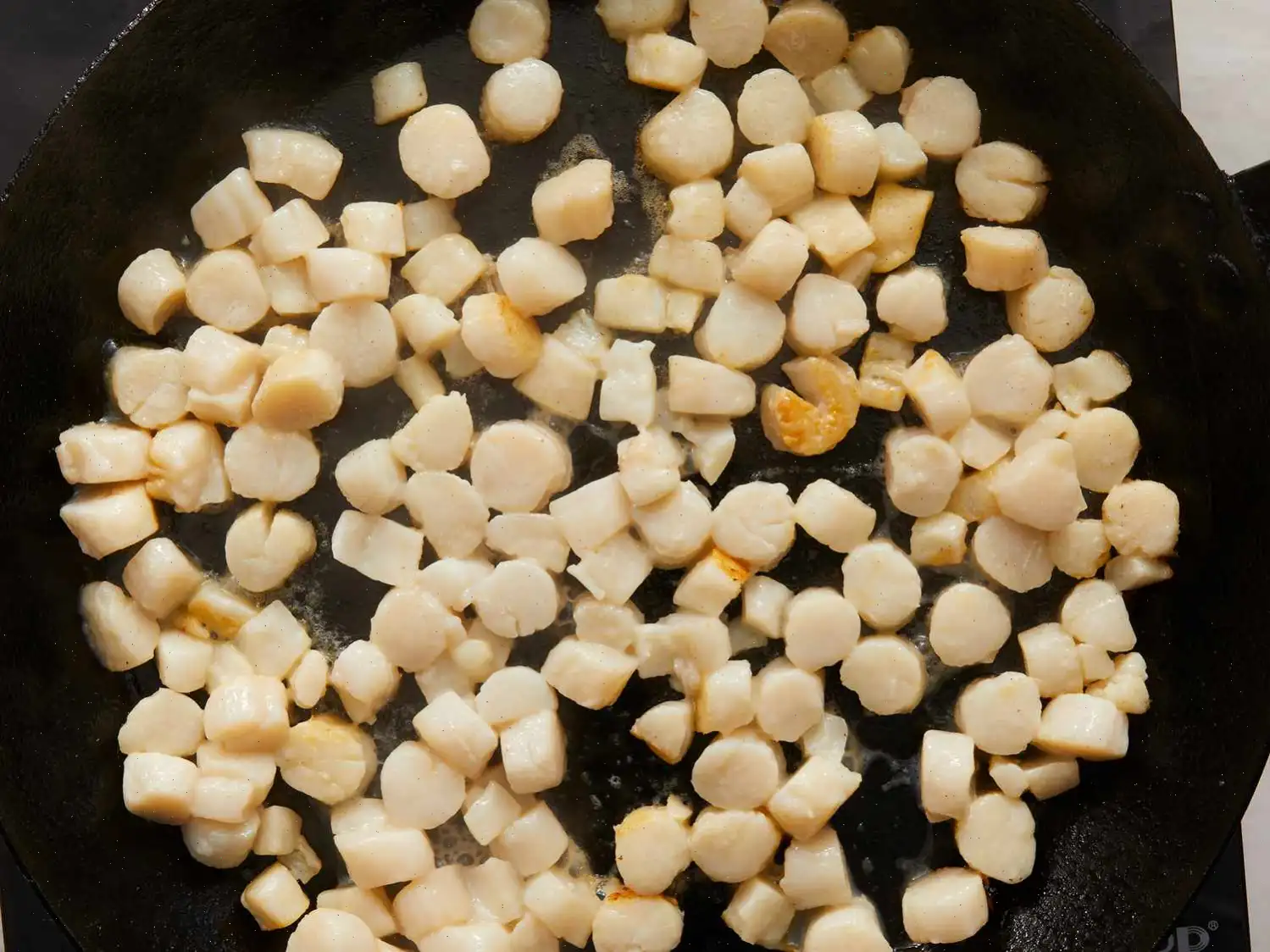 Creamy Bay Scallop Spaghetti Recipe