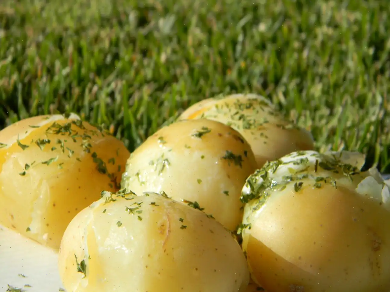 Lengenberg's Boiled Potatoes Recipe