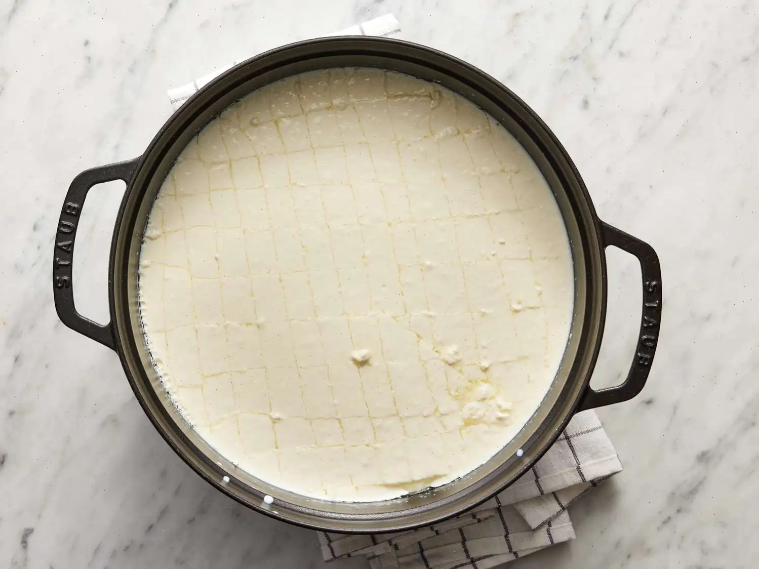 Homemade Mozzarella Cheese Recipe