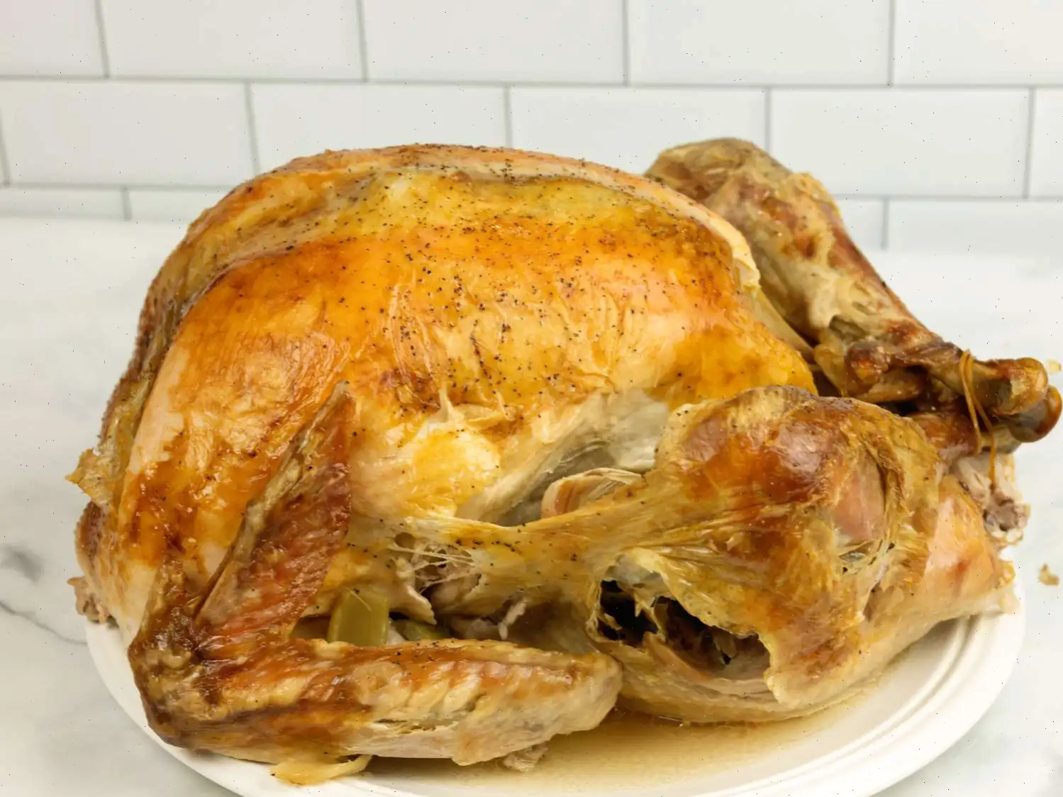 Turkey in a Bag Recipe