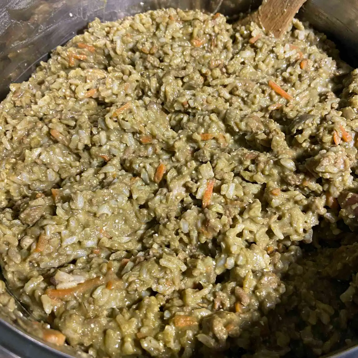 Homemade Dog Food with Beef Recipe