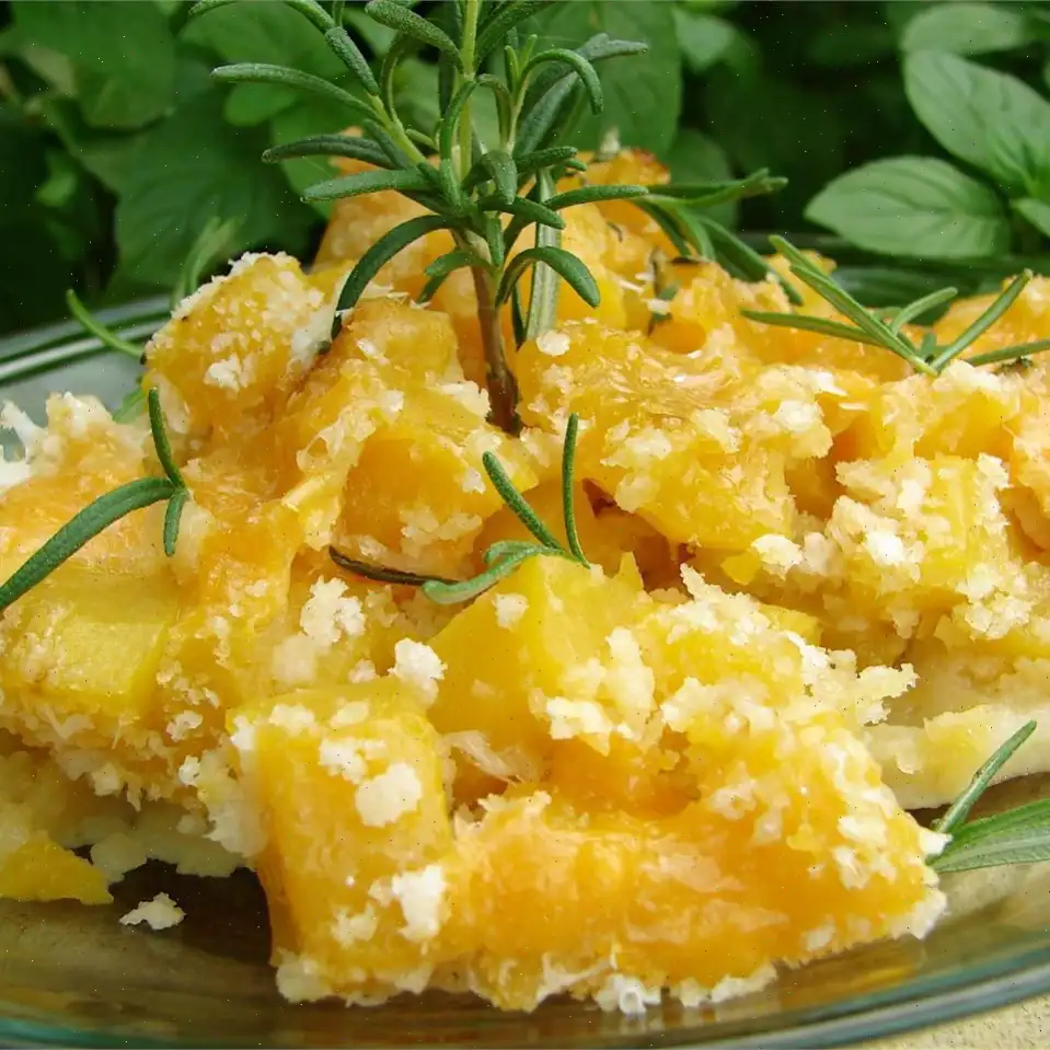Merritt's Butternut Squash Gratin Recipe