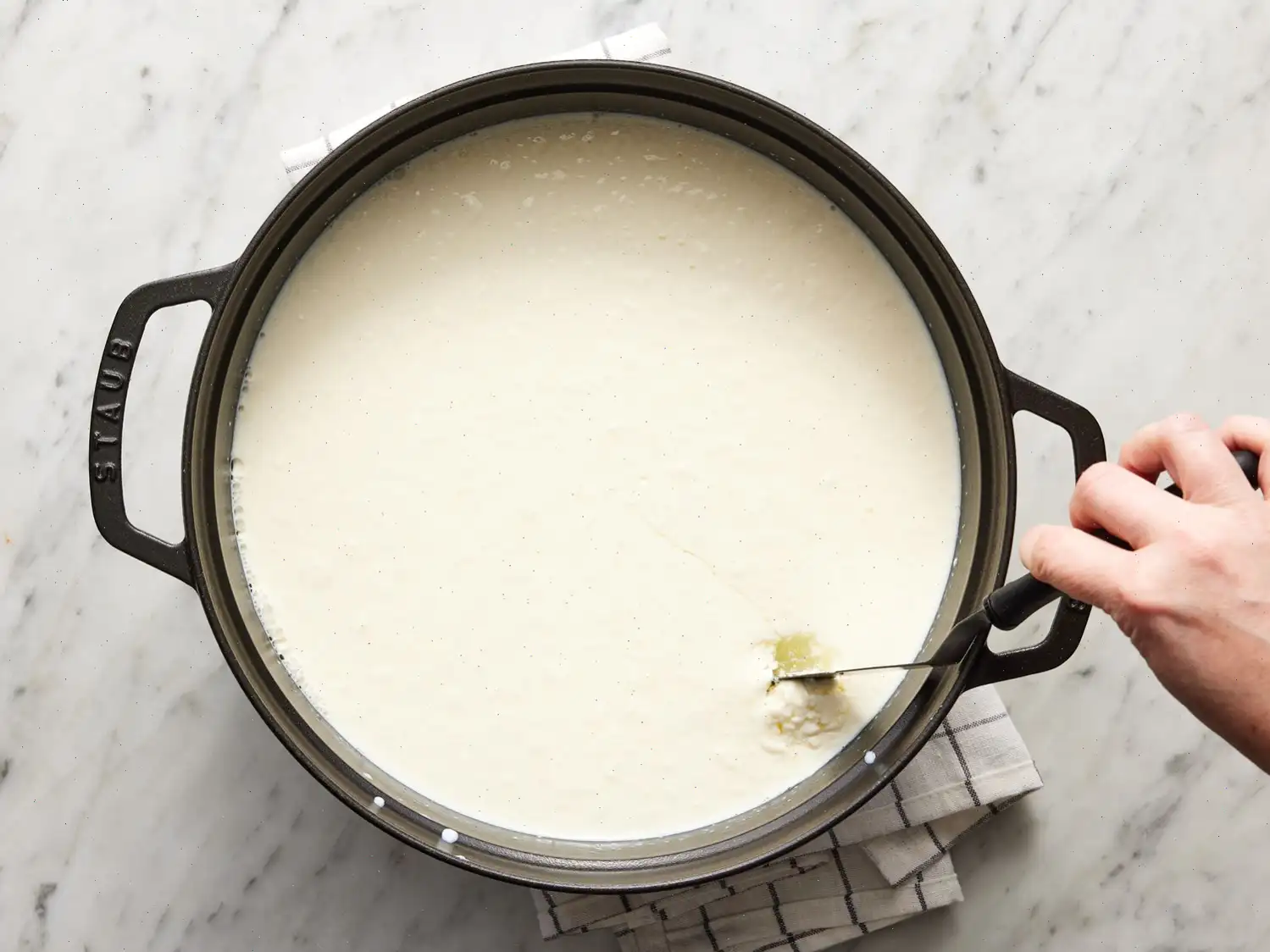 Homemade Mozzarella Cheese Recipe