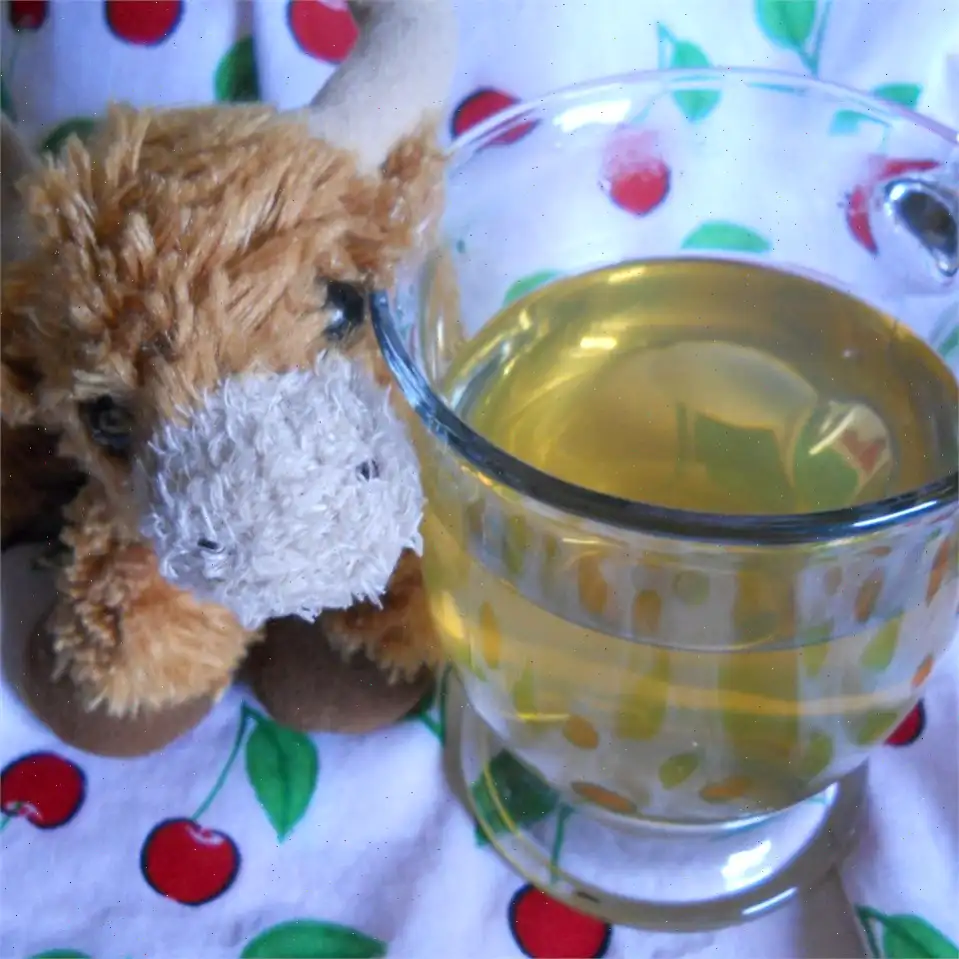 Teddy Bear Juice Recipe