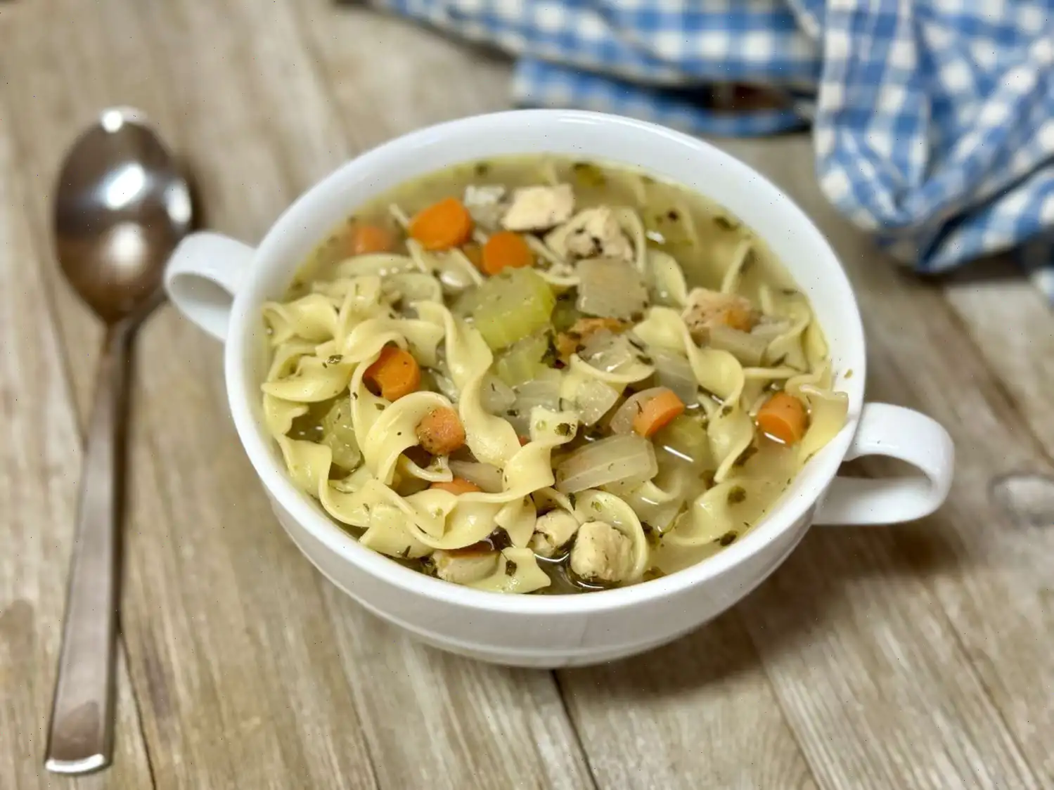 Steve's Chicken Noodle Soup Recipe