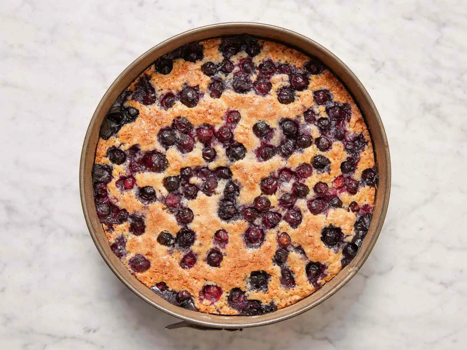 Blueberry-Lemon Breakfast Cake Recipe