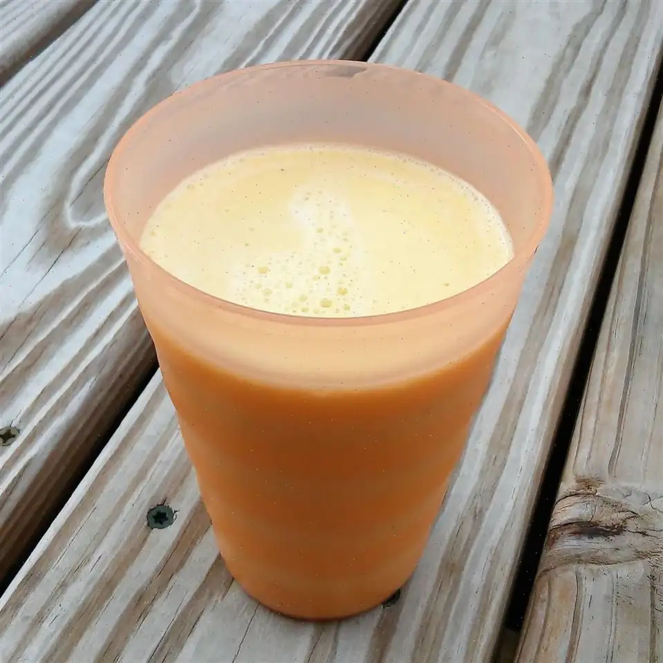 Homemade Orange Julius Recipe