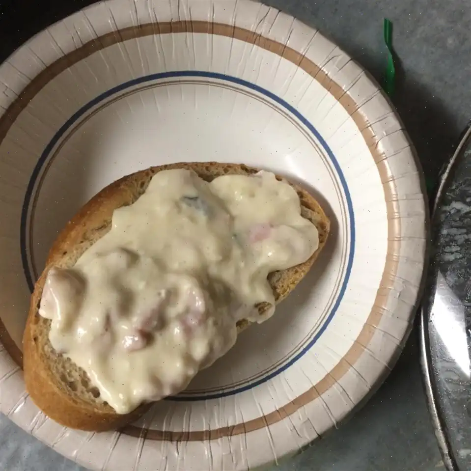 Anne's Hot Ham and Swiss Dip Recipe