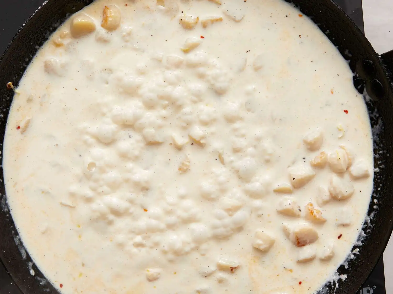 Creamy Bay Scallop Spaghetti Recipe