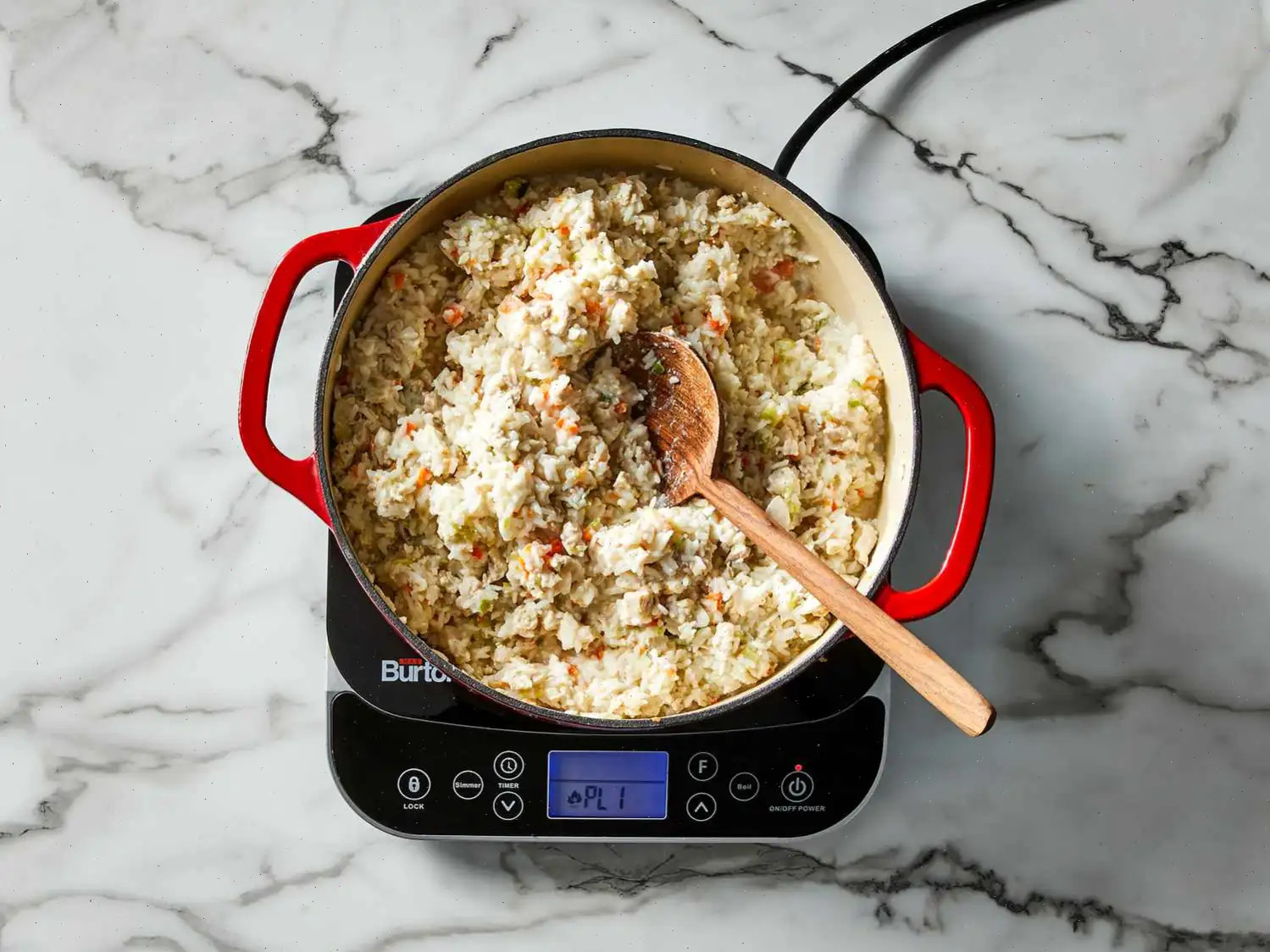 Lucky and Rippy's Favorite Dog Food Recipe