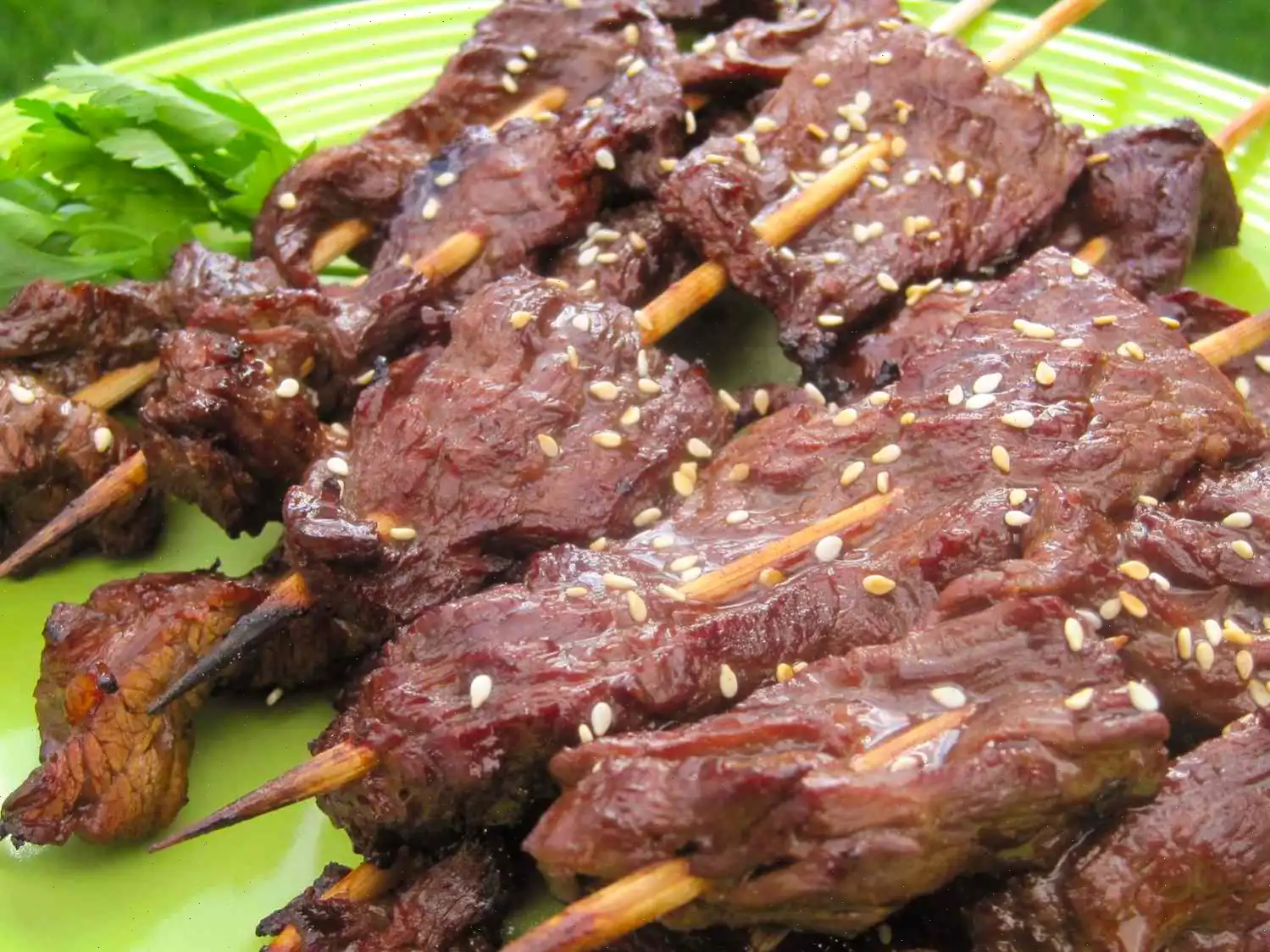 Steak on a Stick Recipe
