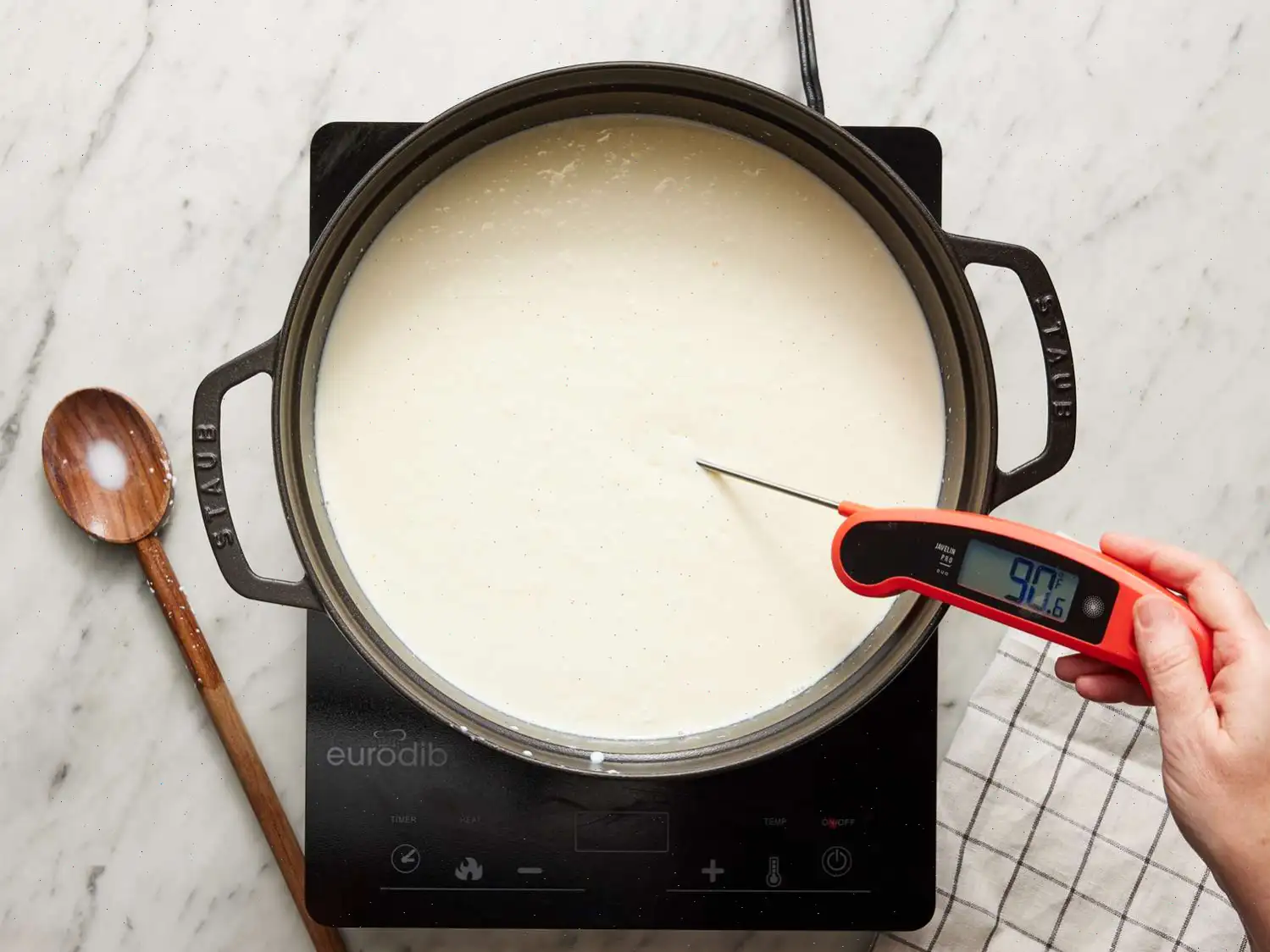 Homemade Mozzarella Cheese Recipe