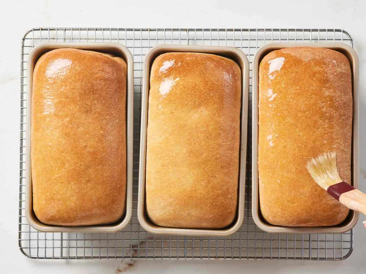 Simple Whole Wheat Bread Recipe