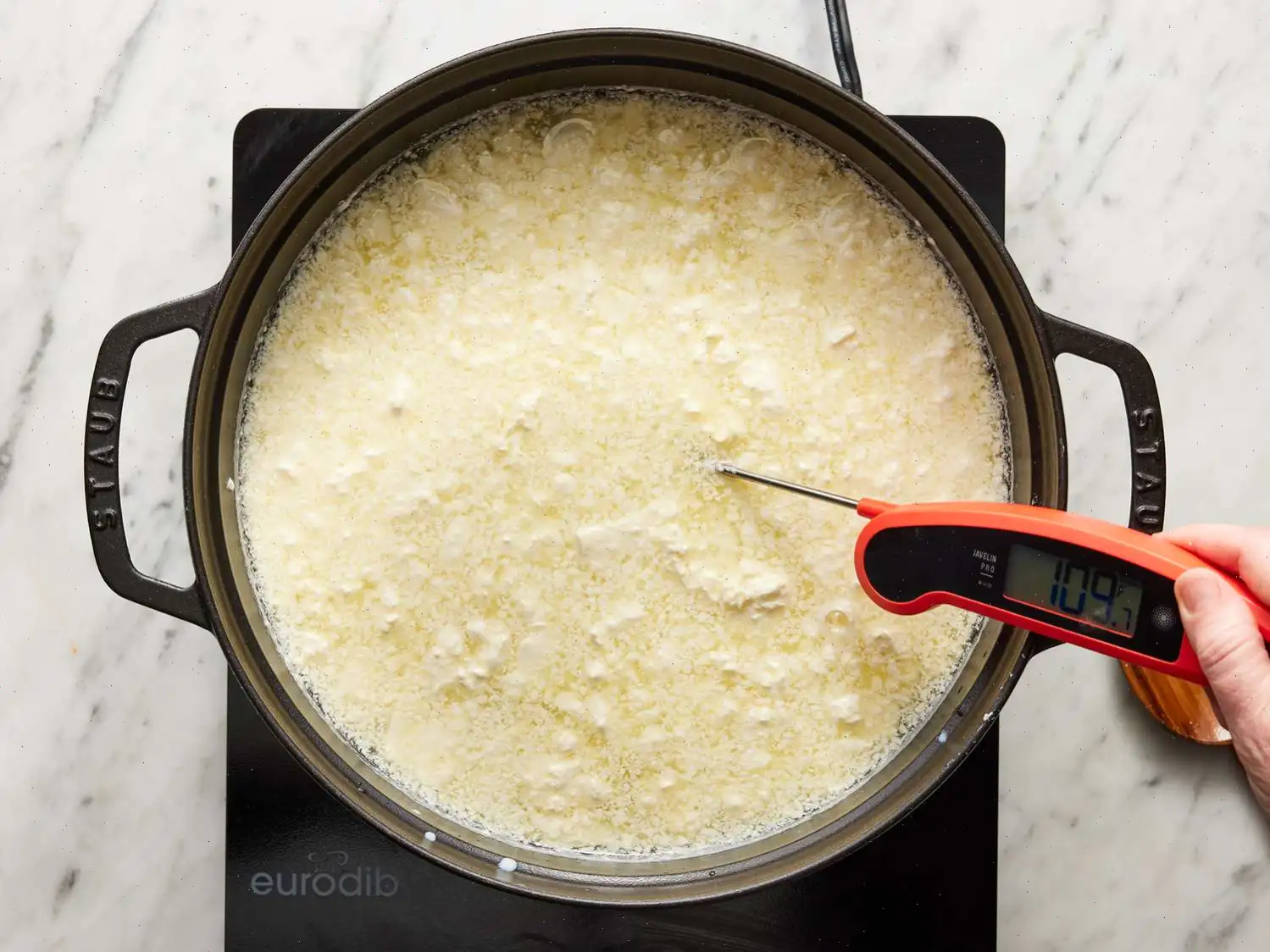 Homemade Mozzarella Cheese Recipe