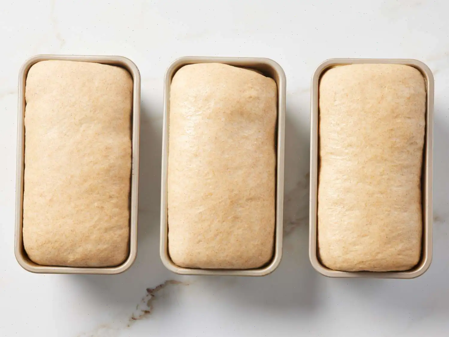 Simple Whole Wheat Bread Recipe