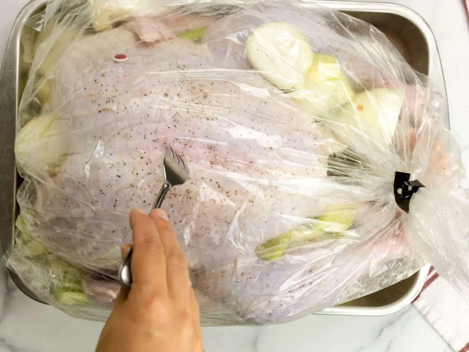 Turkey in a Bag Recipe
