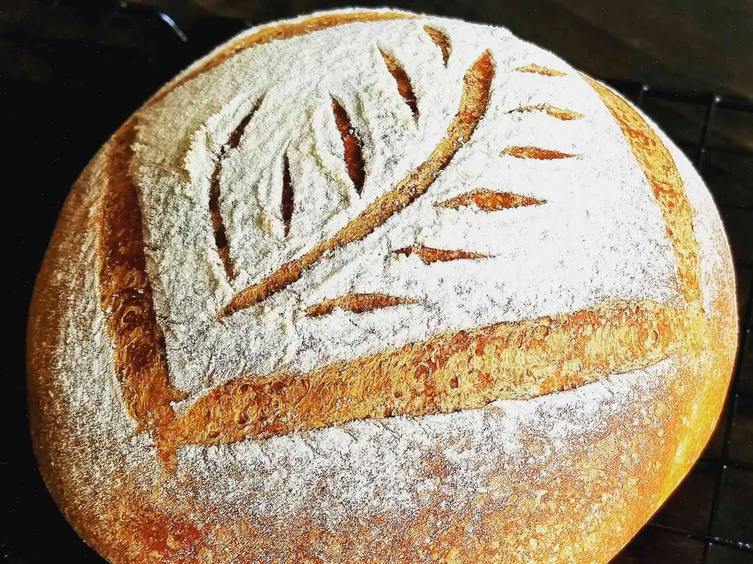 Chef John's No-Knead Pumpkin Bread