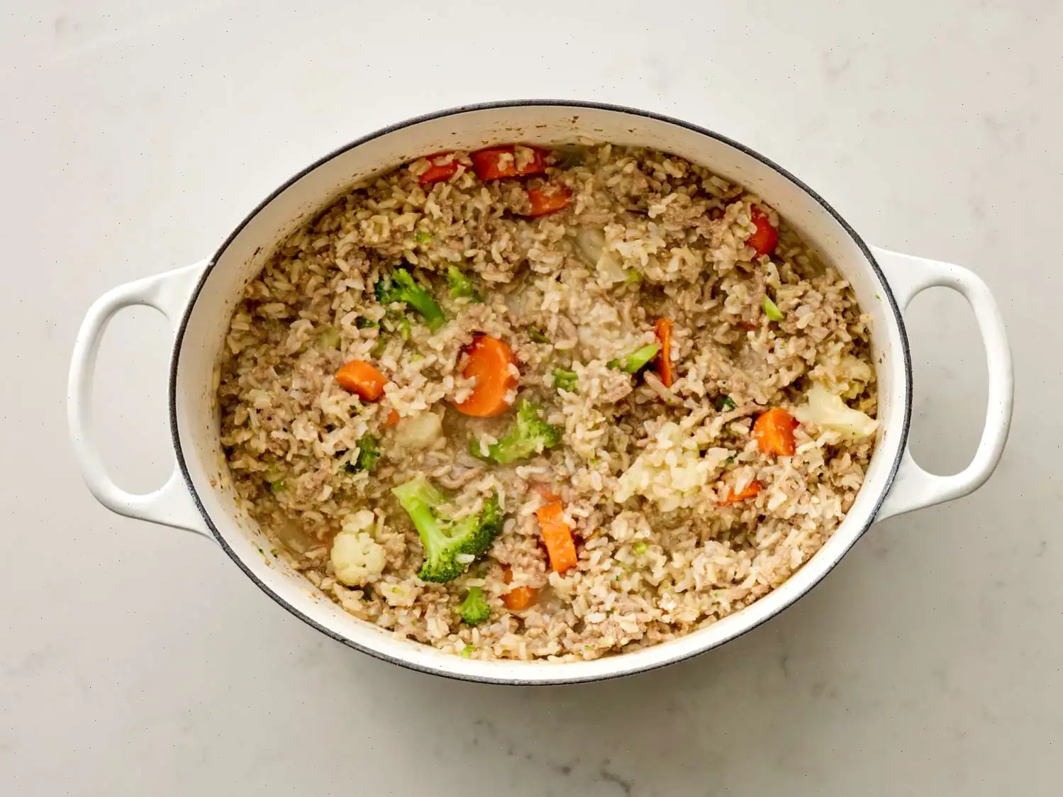 Homemade Dog Food Recipe