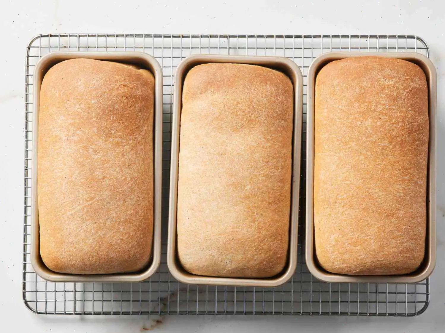 Simple Whole Wheat Bread Recipe