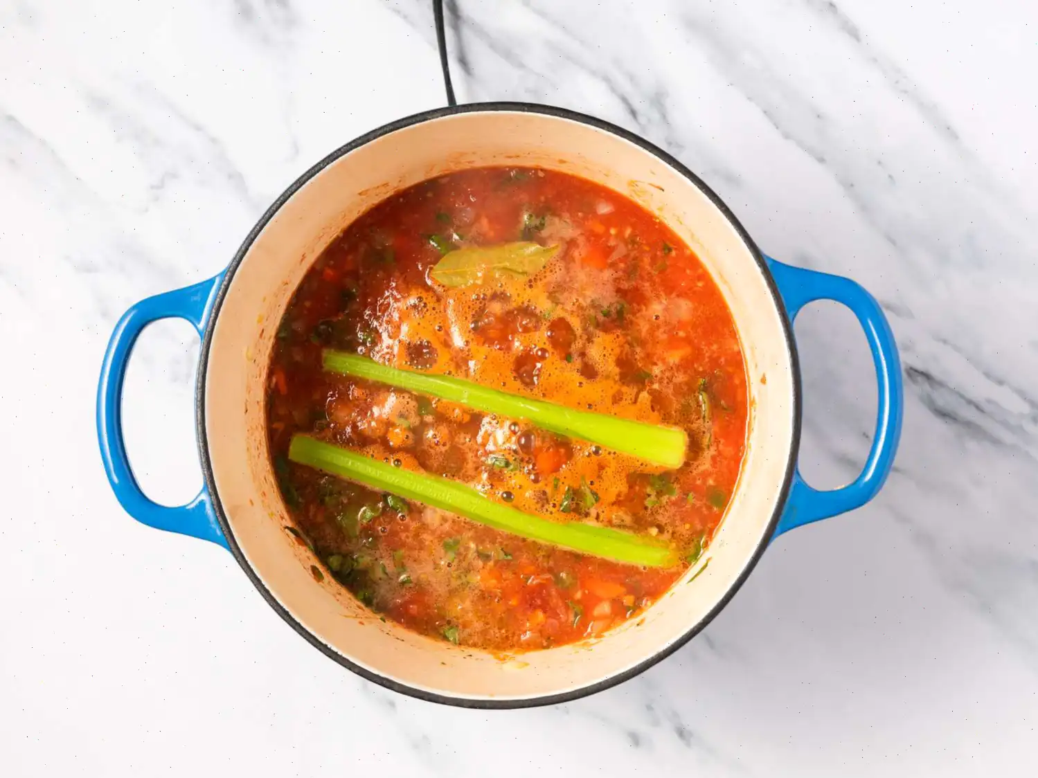 Homemade Tomato Sauce Recipe