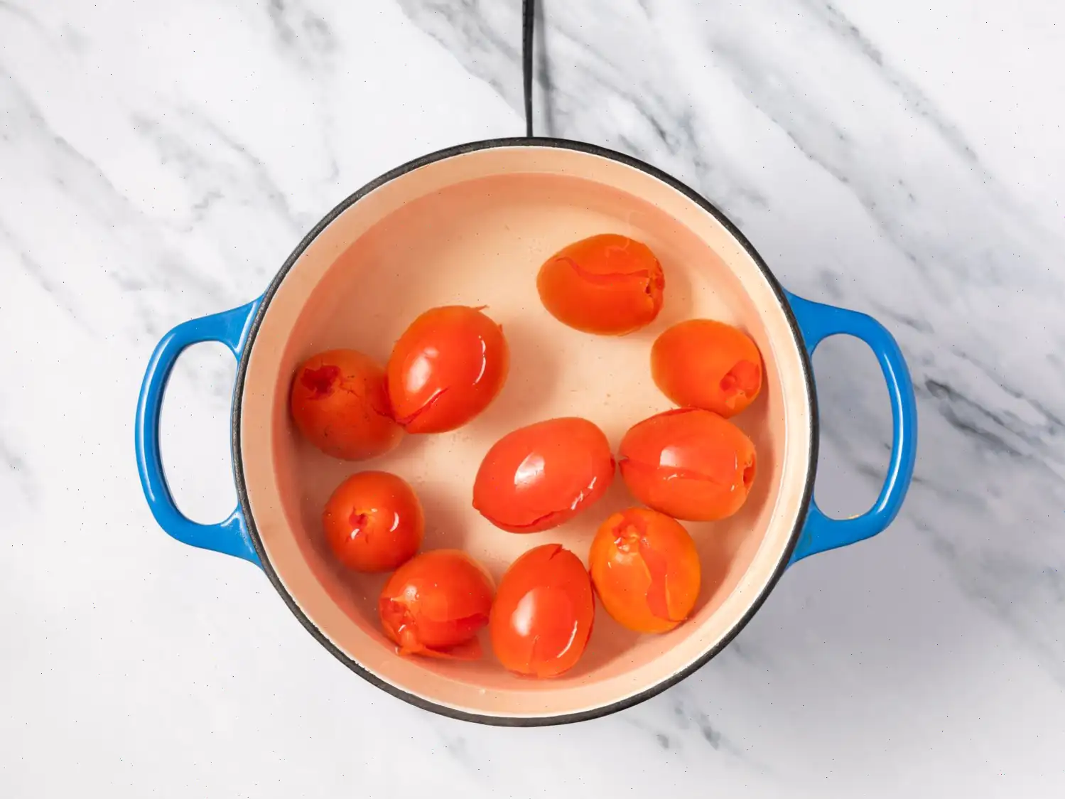 Homemade Tomato Sauce Recipe