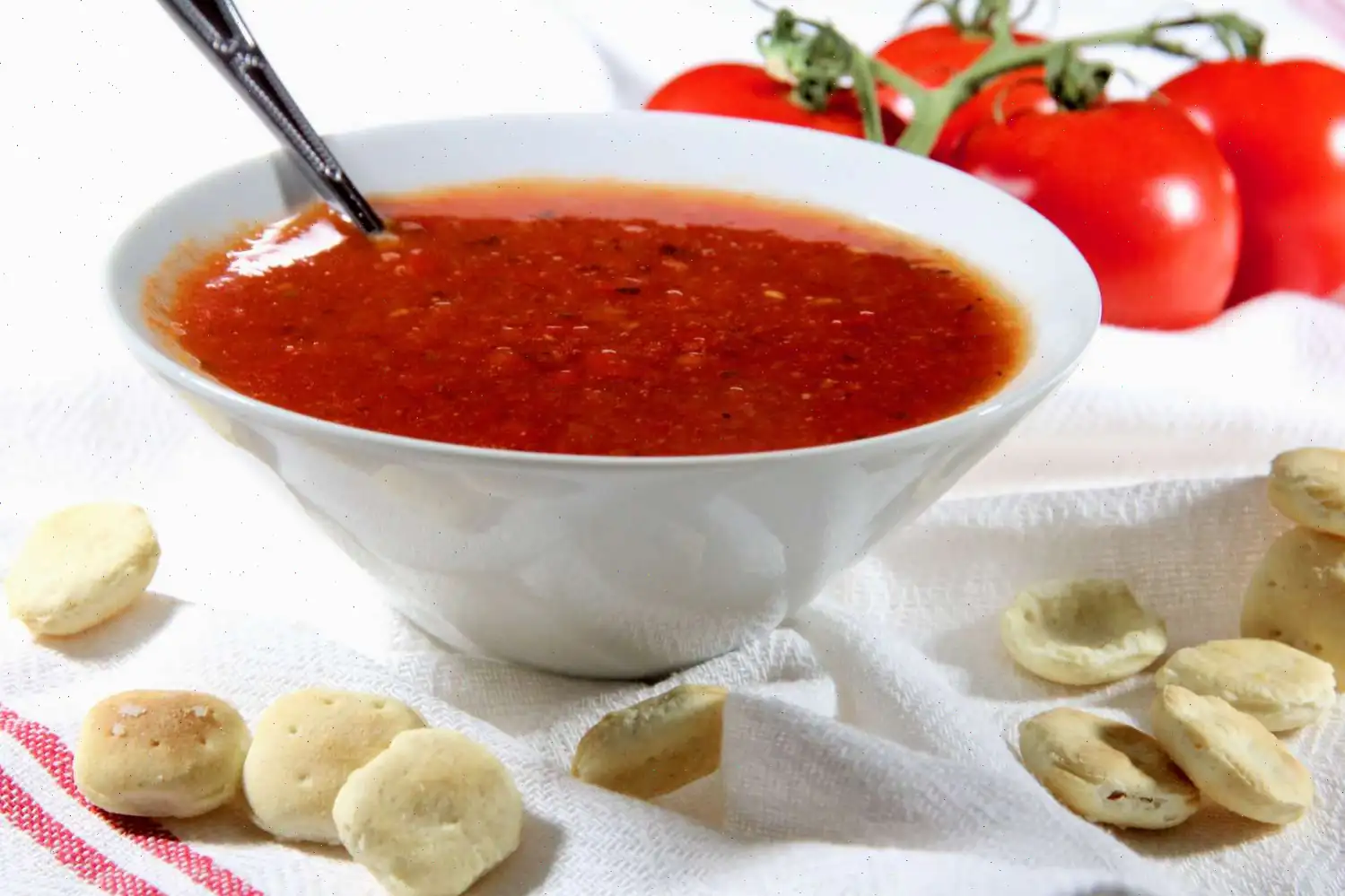 Zesty Tomato Soup for One Recipe