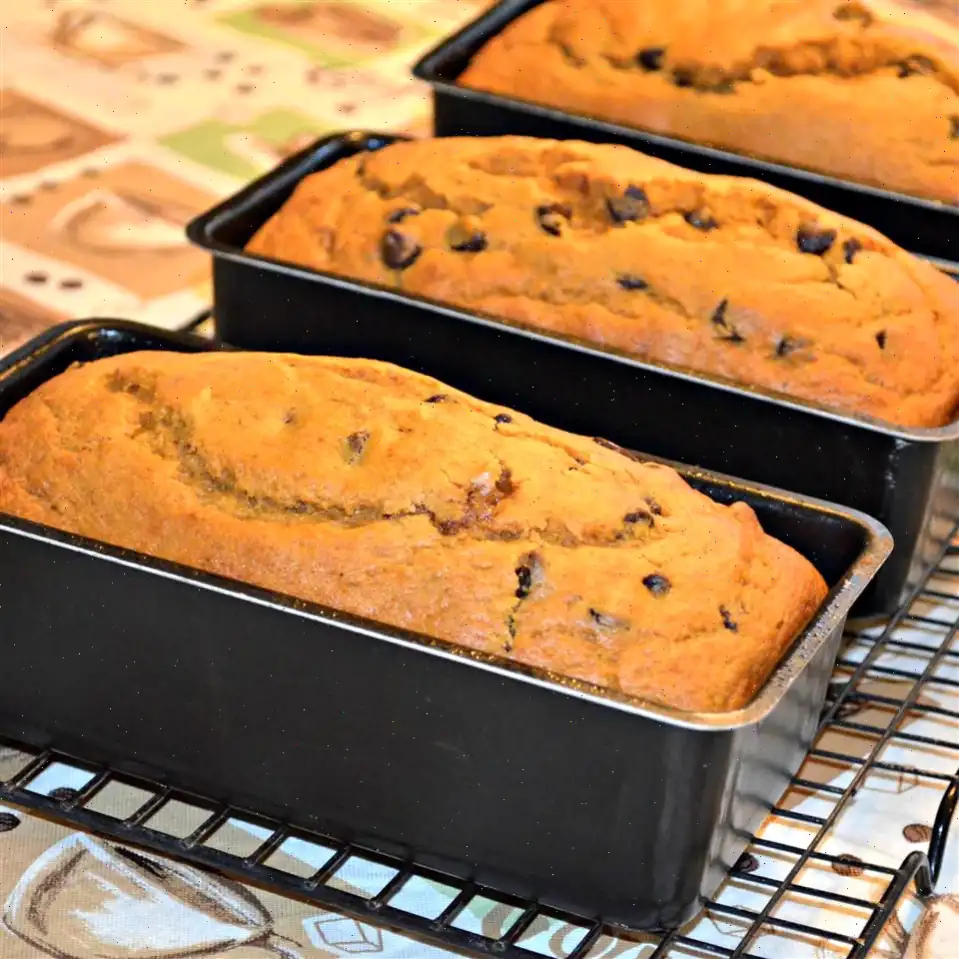 Chocolate Chip and Pumpkin Bread Recipe