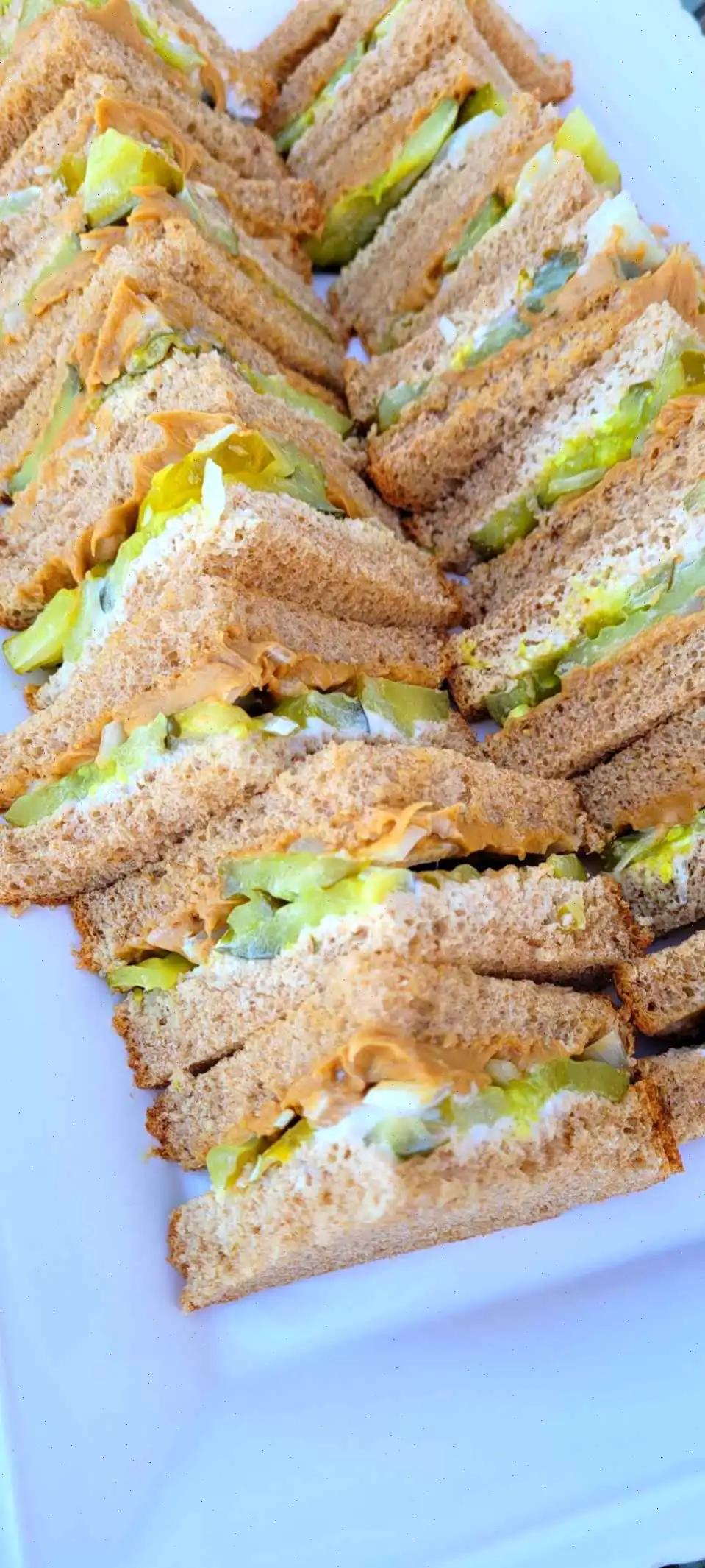 Poor Man's Sandwich Recipe