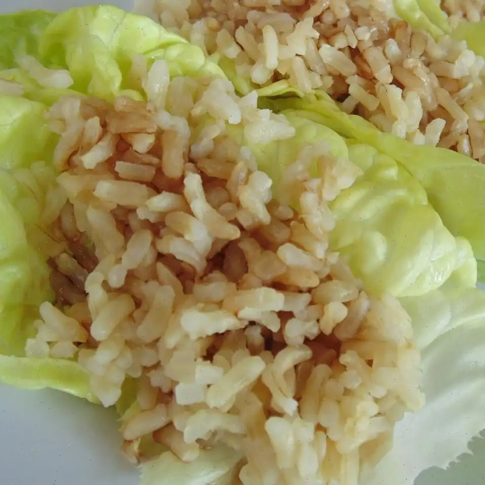 Easy and Simple Vegetarian Lettuce Wraps Recipe