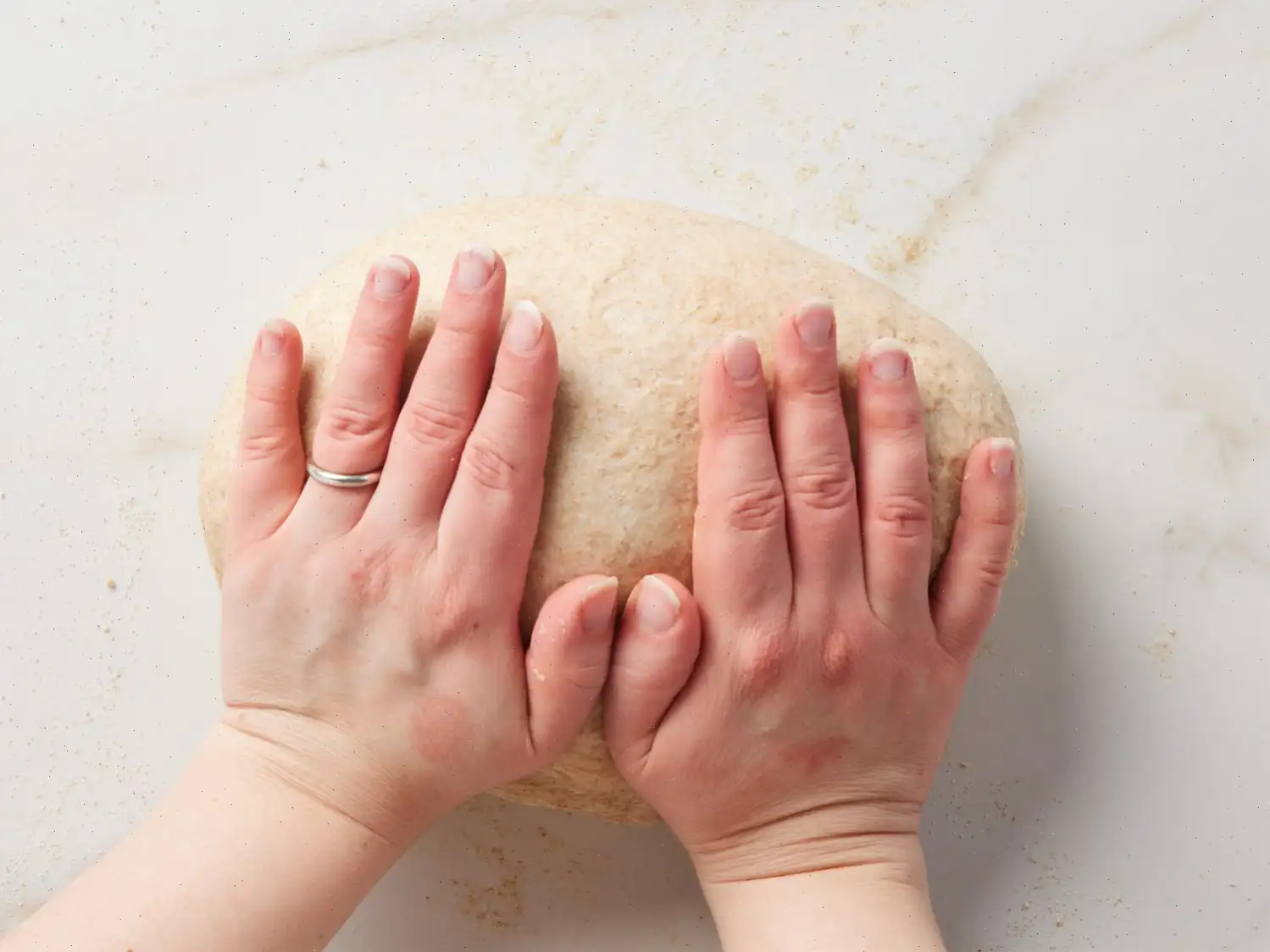 Simple Whole Wheat Bread Recipe