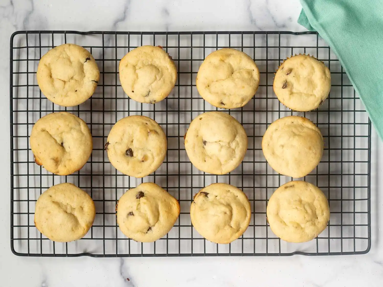 Cottage Cheese Blender Muffins Recipe