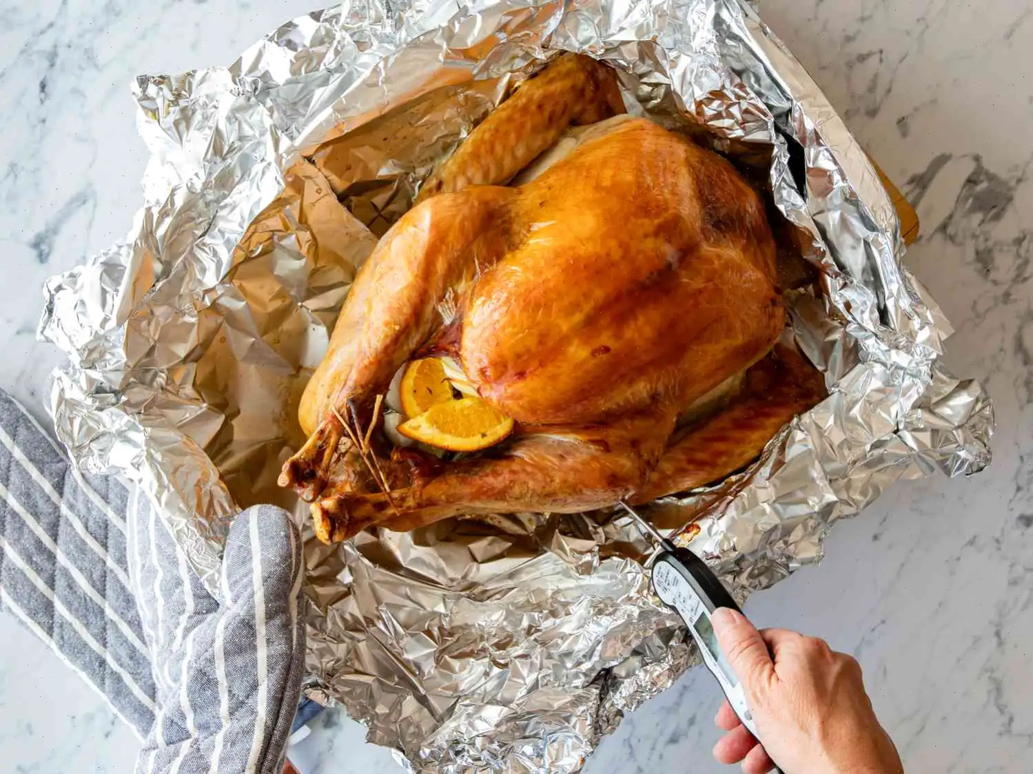 Juicy Thanksgiving Turkey Recipe