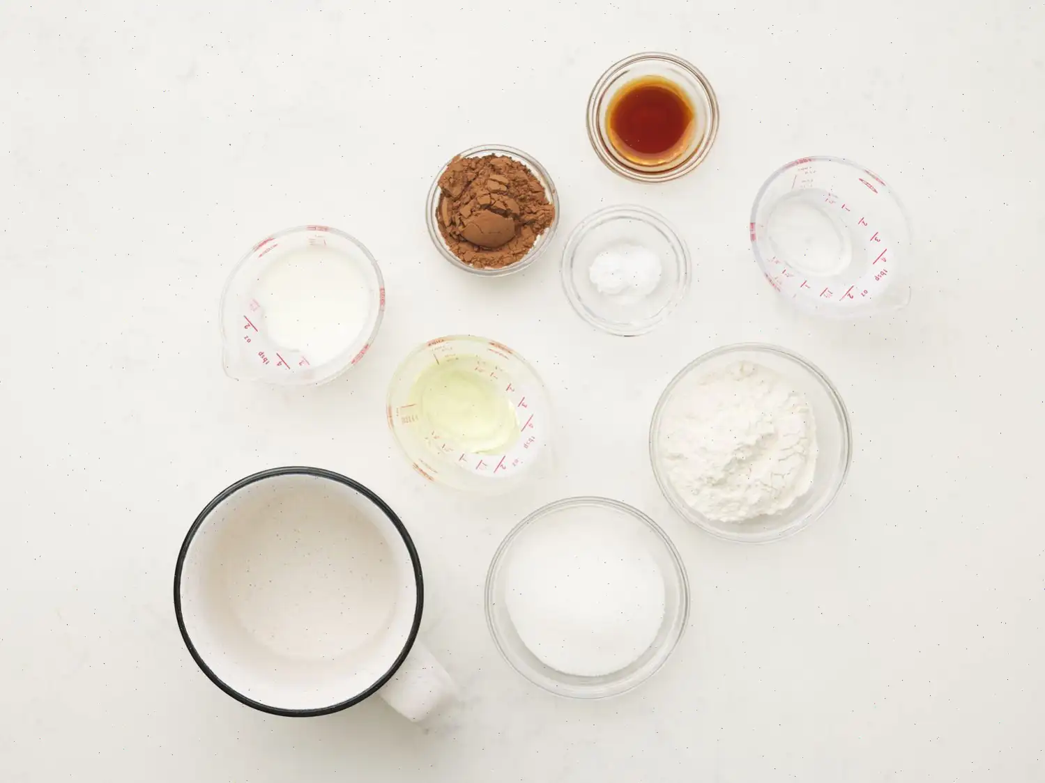 Easy Microwave Chocolate Mug Cake Recipe (with Video)