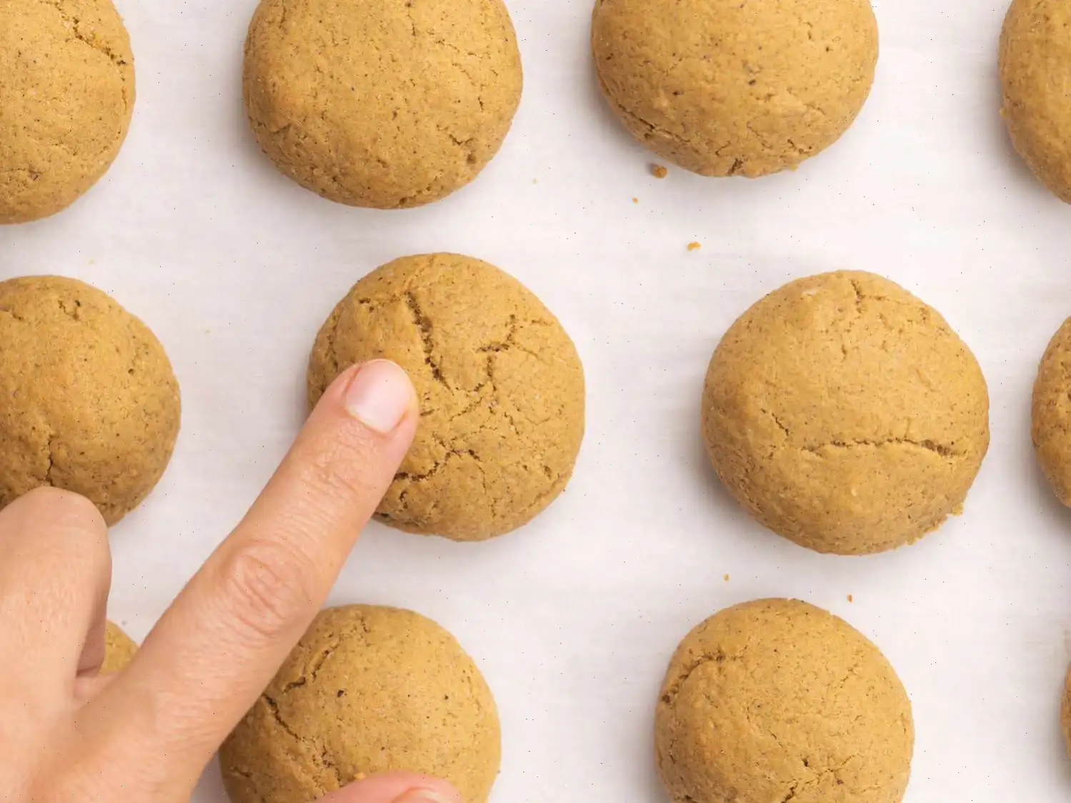 Pfeffernusse Cookies Recipe