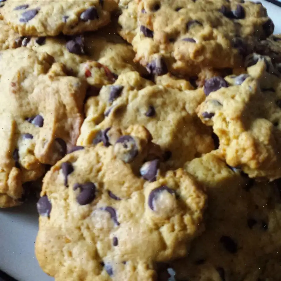 Persimmon Chocolate Chip Cookies Recipe