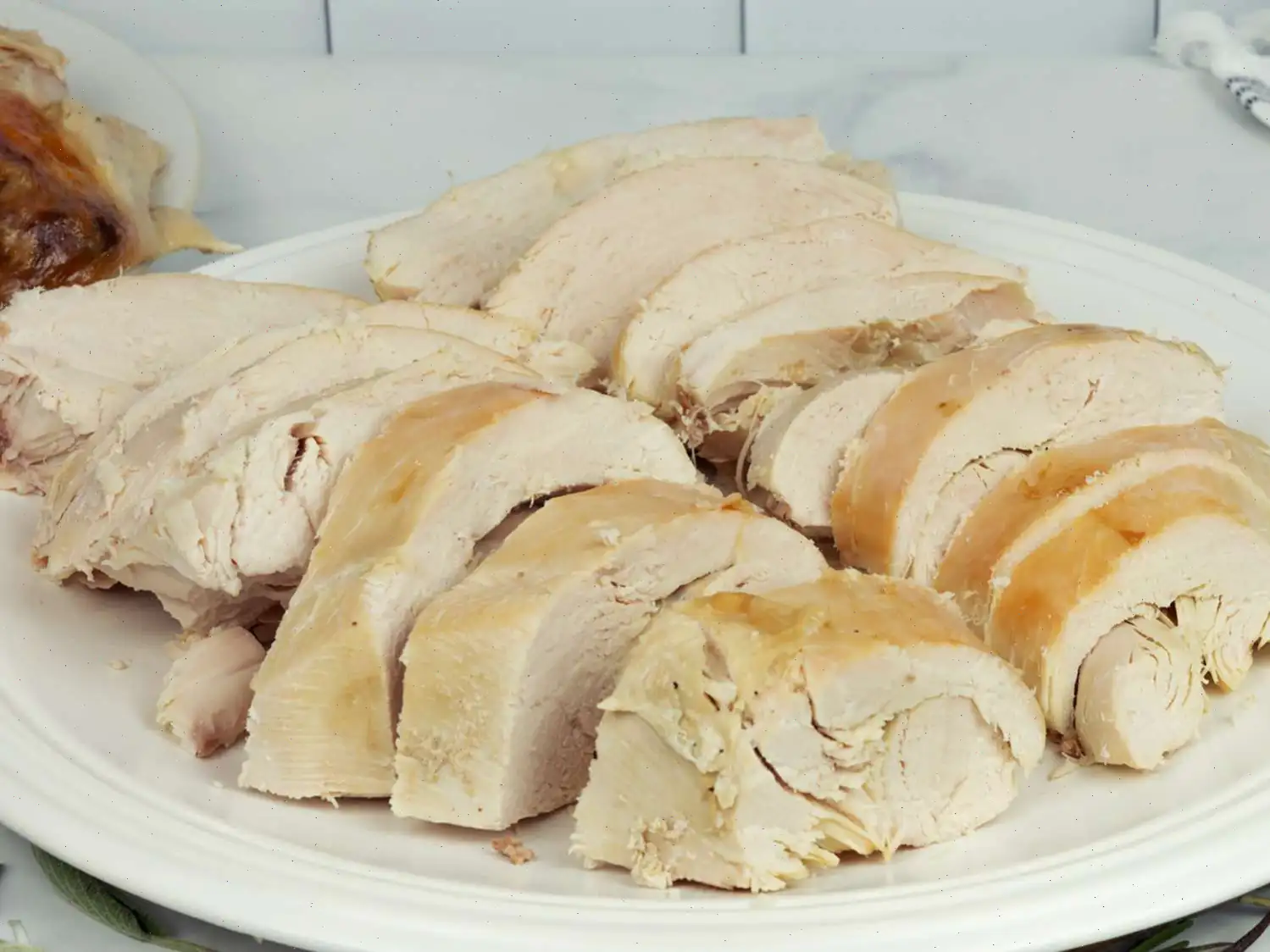 Turkey in a Bag Recipe