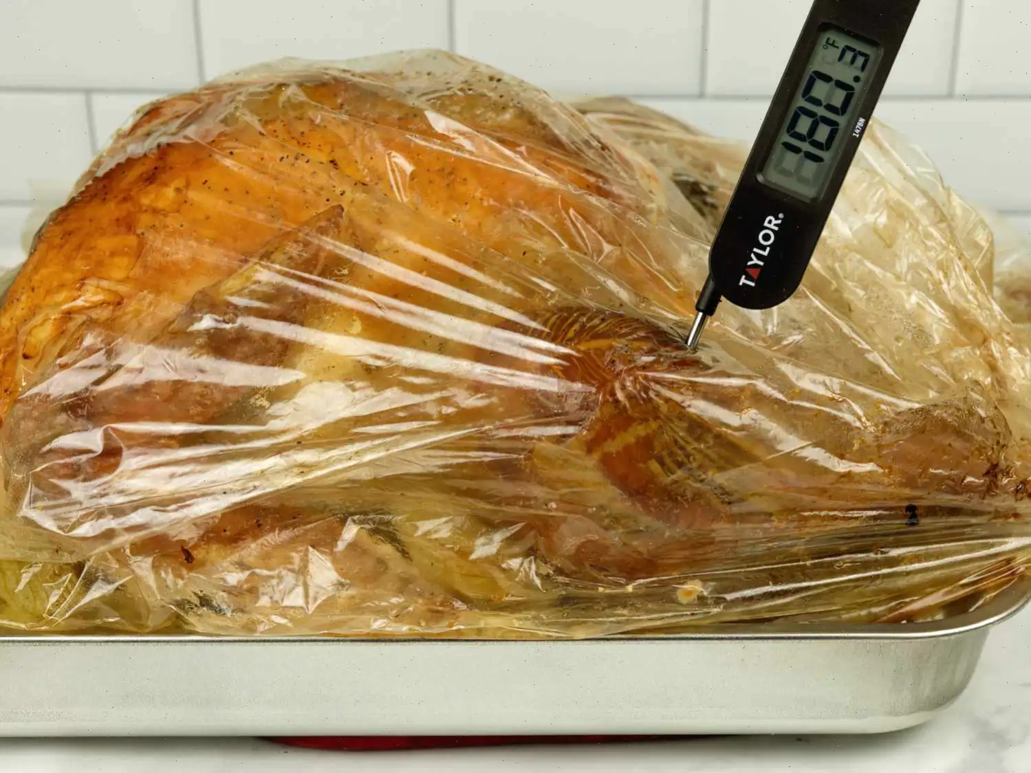 Turkey in a Bag Recipe